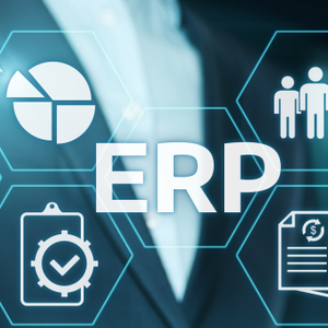 MINK ERP or Manufacturing Software