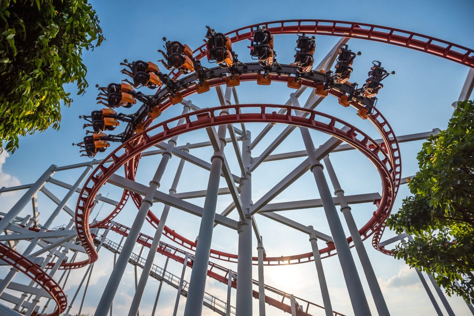 Theme Park Management Software